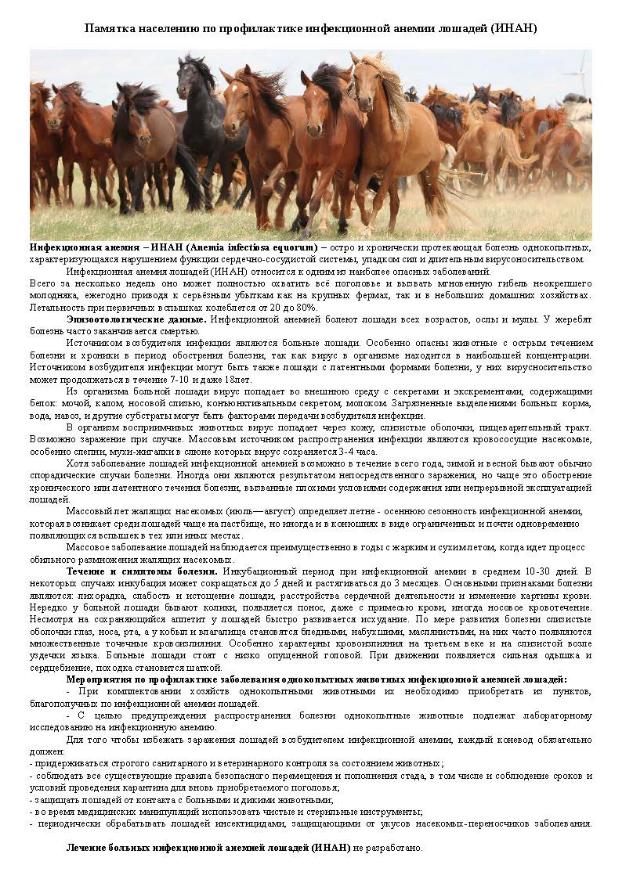 Памятка населению по профилактике инфекционной анемии лошадей (ИНАН)