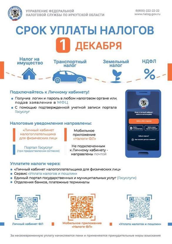 Срок уплаты налогов - 1 декабря!