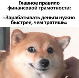 Согласны с утверждением на картинке?